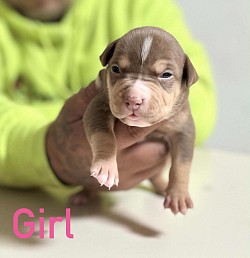 CURRENT FEMALE OFF IVY❌KODAK