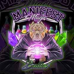 Saint- intact male Black brindle in color, ABKC registered. Does great with females, iffy around other males. Pedigree can be sent upon request